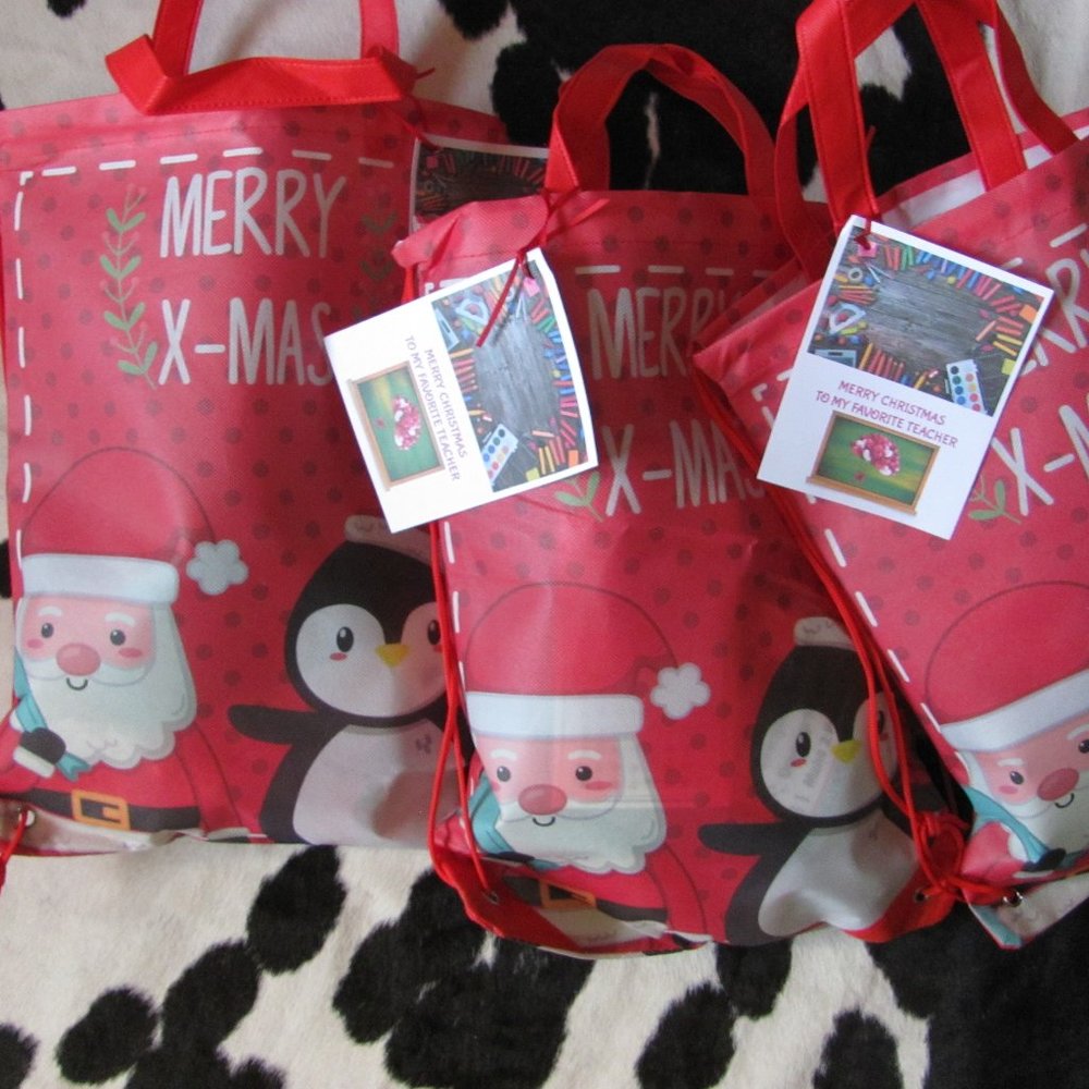 TEACHERS  MYSTERY GIFT BAGS NWT